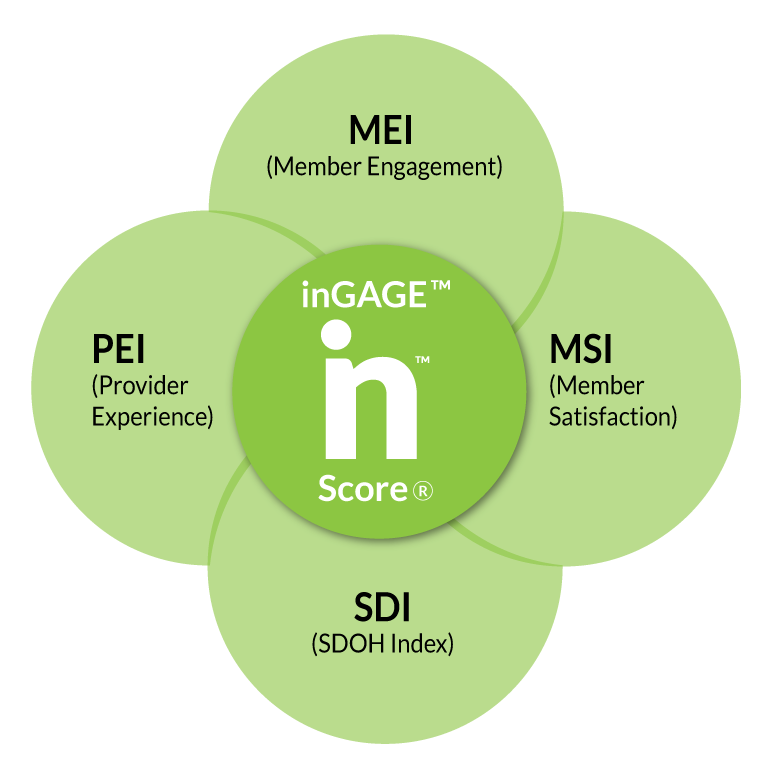 Member Engagement